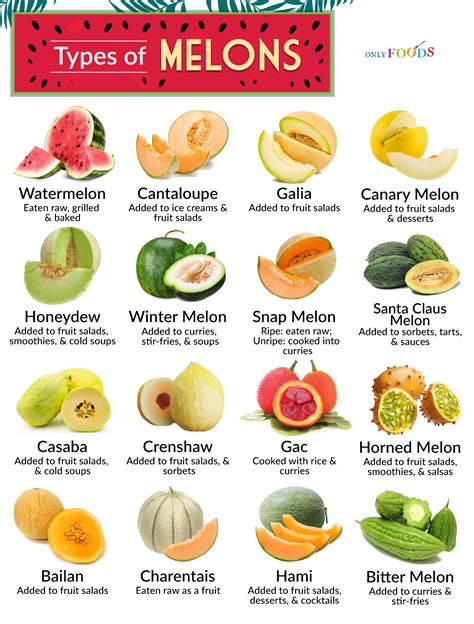 8 types de MELONS